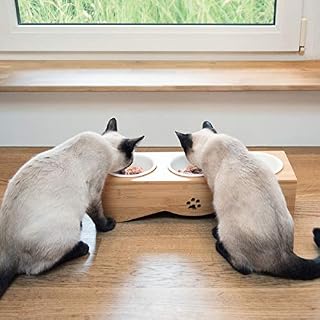 Navaris Futternapf Katze erhöht – Ansicht 2