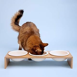 Navaris Futternapf Katze mit Bambus Halter – Ansicht 2