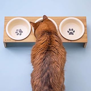 Navaris Futternapf Katze mit Bambus Halter – Ansicht 4