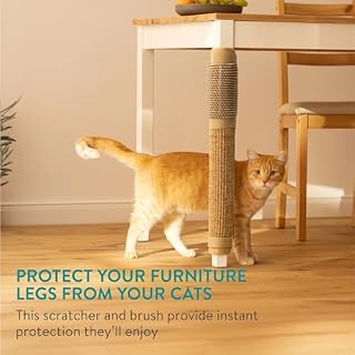 Navaris Kratzbretter Katze – Ansicht 2