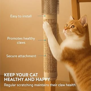 Navaris Kratzbretter Katze – Ansicht 4
