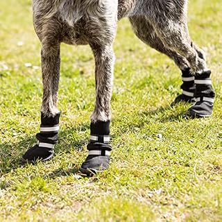 Navaris Pfotenschutz für Hunde – Ansicht 5
