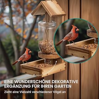 Navaris Vogelhaus – Futterspender mit Glasflasche – Ansicht 2