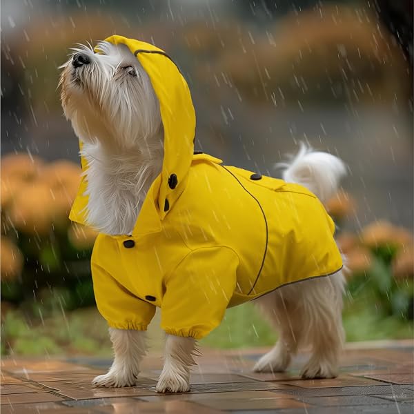Navaris Regenmantel Regenjacke für Hunde