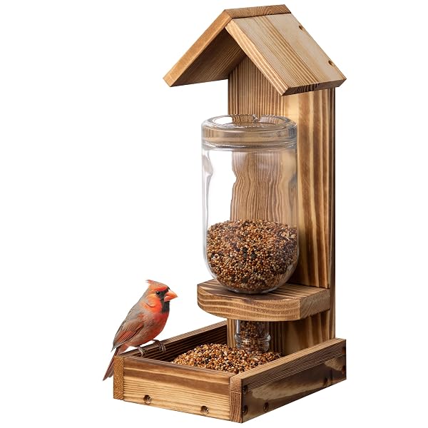 Navaris Vogelhaus – Futterspender mit Glasflasche